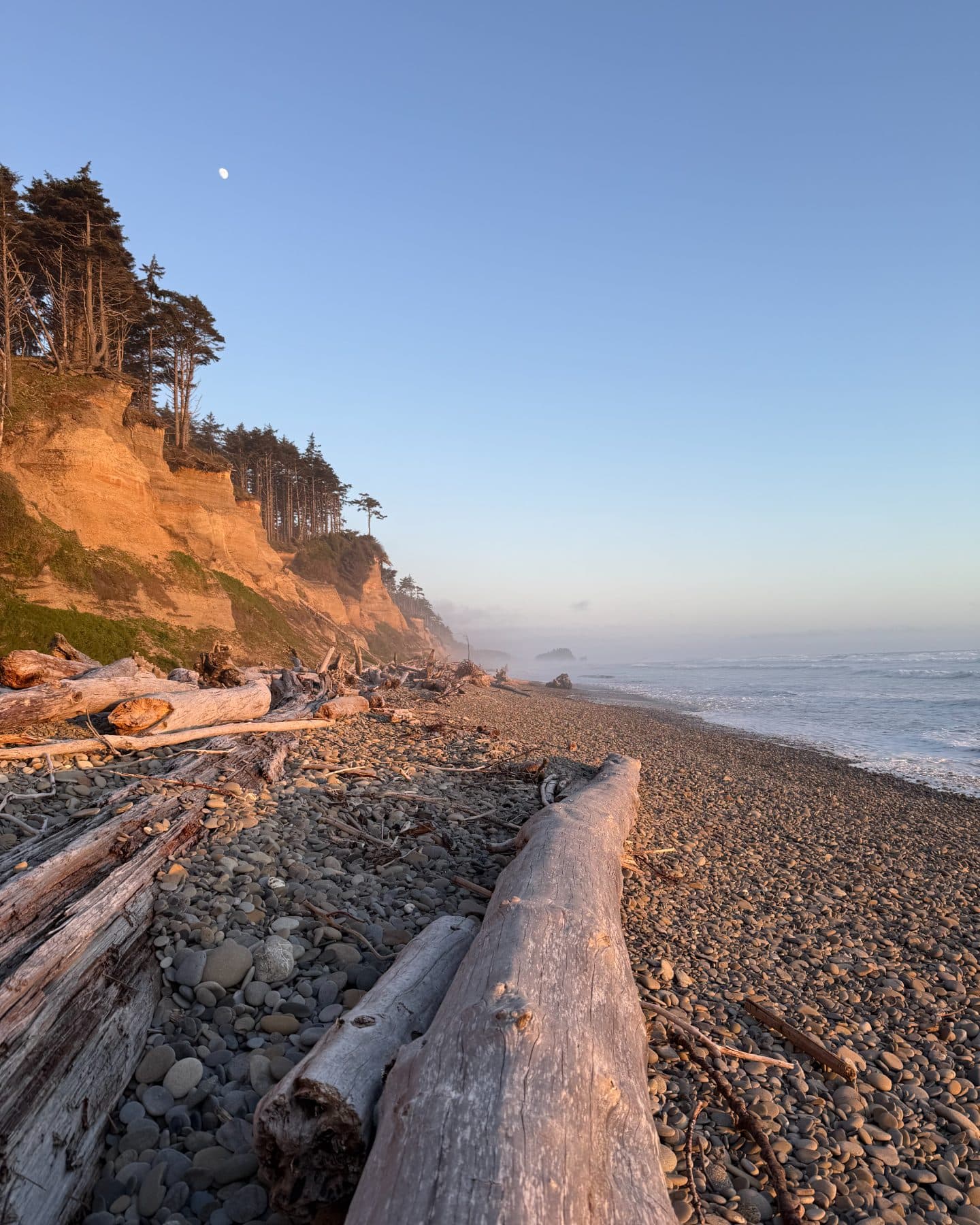 Olympic coast at dusk — driftwood, pebbles and sea fog