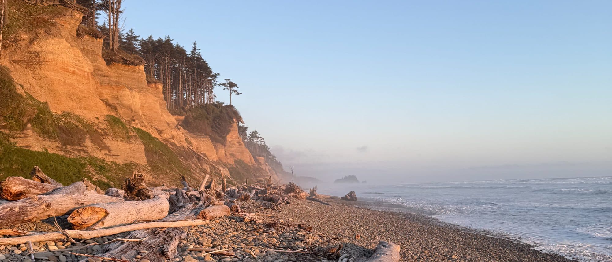 The Olympic coast at first light — driftwood, pebbles and fog